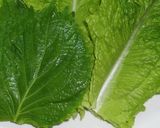 A picture of step 5 of A Chef's Recipe for Yuzu Honey-Flavored Samgyeopsal.