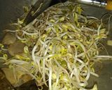 Foto langkah ke 5 dari resep Tumis Taoge & Bakso.