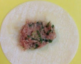 A picture of step 8 of Dim Sum-Style Alpine Leek Wonton Dumplings.