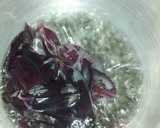 Foto del paso 3 de la receta: Agua de matalí