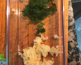 Foto del paso 2 de la receta: Pollo con ajo y perejil 🍃