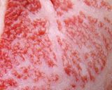 A picture of step 28 of A Former Steak Chef's Recipe for Beef Steak.