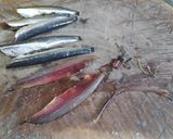 Foto del paso 2 de la receta Boquerones en vinagre