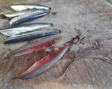 Foto del paso 2 de la receta: Boquerones en vinagre