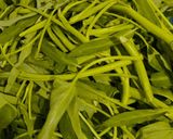 Foto langkah ke 1 dari resep Cah kangkung / tumis kangkung ala anik.