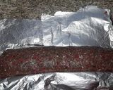 Foto del paso 13 de la receta: Arrollado de carne picada