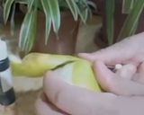 صورة لخطوة 1 من وصفة عصير التفاح المنعش