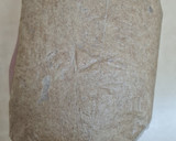 Foto del paso 3 de la receta: Galletitas con harina integral, fáciles, económicas, rendidoras, sin balanza, ideal principiantes 🥰