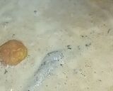 A picture of step 13 of Shahi Lauki Kofta In White Gravy.
