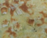Foto del paso 3 de la receta: Tarta de atún con la masa de pascualina fácil de "Nil"