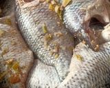 صورة لخطوة 2 من وصفة 🐠 سمك شبار مقلى 🐠🥗 ورز صياديه 😋
