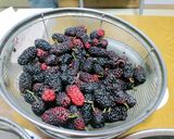 A picture of step 2 of Mulberry Jam.