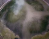 Foto langkah ke 3 dari resep Es Pandan Segar.