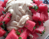 A picture of step 5 of Sig's Cucumber and Melon Cooler.