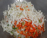 હક્કા નૂડલ્સ(Hakka Noodles Recipe In Gujarati) રેસીપી સ્ટેપ2ફોટો