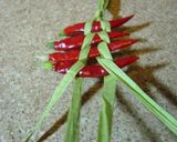 A picture of step 8 of A Cute Way To Dry Red Chili Peppers.