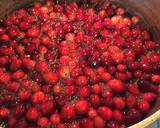 Red Zinfandel Cranberry Sauce recipe step 2 photo