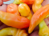 Soun Kuah Pedas