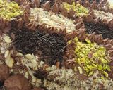 صورة لخطوة 11 من وصفة كيكه بكريمه الزبدة