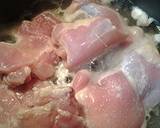 Stewed barbecued chicken recipe step 1 photo