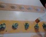 A picture of step 8 of Ricotta Cheese and Spinach Ravioli.