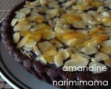 A picture of step 20 of Matcha Chocolate Amandine Tart.