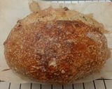 Foto langkah ke 17 dari resep Moringa Jinten Hitam Italian Herbs Cheese Sourdough Bread (Oven Tangkring).
