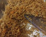 Foto langkah ke 3 dari resep Ayam Suwir Wortel Isian Roti & Bakpau.