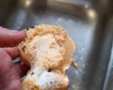 Foto del paso 1 de la receta: Setas "lengua de vaca" (Hydnum Repandum) "á feira"