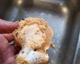 Foto del paso 1 de la receta: Setas "lengua de vaca" (Hydnum Repandum) "á feira"