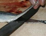 A picture of step 7 of Fresh Pacific Saury Prepared with a Home Kitchen Knife (Sashimi and Cured with Vinegar).