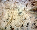A picture of step 7 of Grandma's Oatmeal Raisin Cookies.