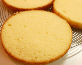 A picture of step 15 of Basic Moist Sponge Cake.