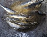 Foto langkah ke 1 dari resep Oseng ikan asin terong pipit.