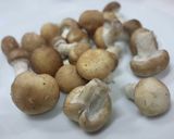 A picture of step 1 of Shitake Chilli Paste / Nam Prik Hed.