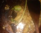 Foto langkah ke 2 dari resep Soto ayam kuah bening.