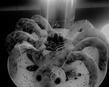 Une image de l'étape 9 de Pain Araignée pour Halloween.