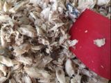 Ikan tuna suwir manado pampis