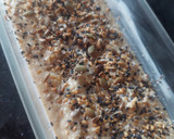 Foto del paso 2 de la receta: Pan proteico salado con coco 🥥 SIN gluten 💯