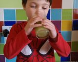 A picture of step 8 of Vickys Kiwi, Apple & Grape Sorbet / Slush, GF DF EF SF NF.