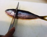 A picture of step 3 of Prepare fish without a Deba knife!.