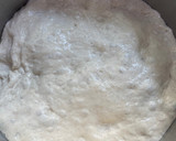 Foto del paso 4 de la receta: Pan de masa madre