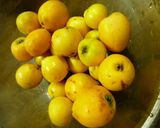 A picture of step 1 of Loquat Compote in 20 Minutes.