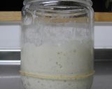 A picture of step 6 of For Beginners: Yogurt Bread Starter (Leaven).