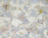 A picture of step 10 of Preparing Meltingly Soft and Tender Beef Tendon.