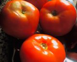 Foto del paso 1 de la receta: 🍅TOMATES🍅 AL HORNO🥘