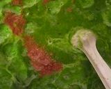 स्वादिष्ट पालक पनीर (swadist palak paneer recipe in Hindi) रेसिपी चरण 5 फोटो
