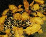 A picture of step 37 of Garlic Chips and Garlic Oil.