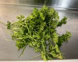 Une image de l'étape 7 de Purée de courgette aux épices et persil.