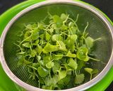 Hình bước làm 1 của món Canh Rau Má Nấu Thịt Bằm
